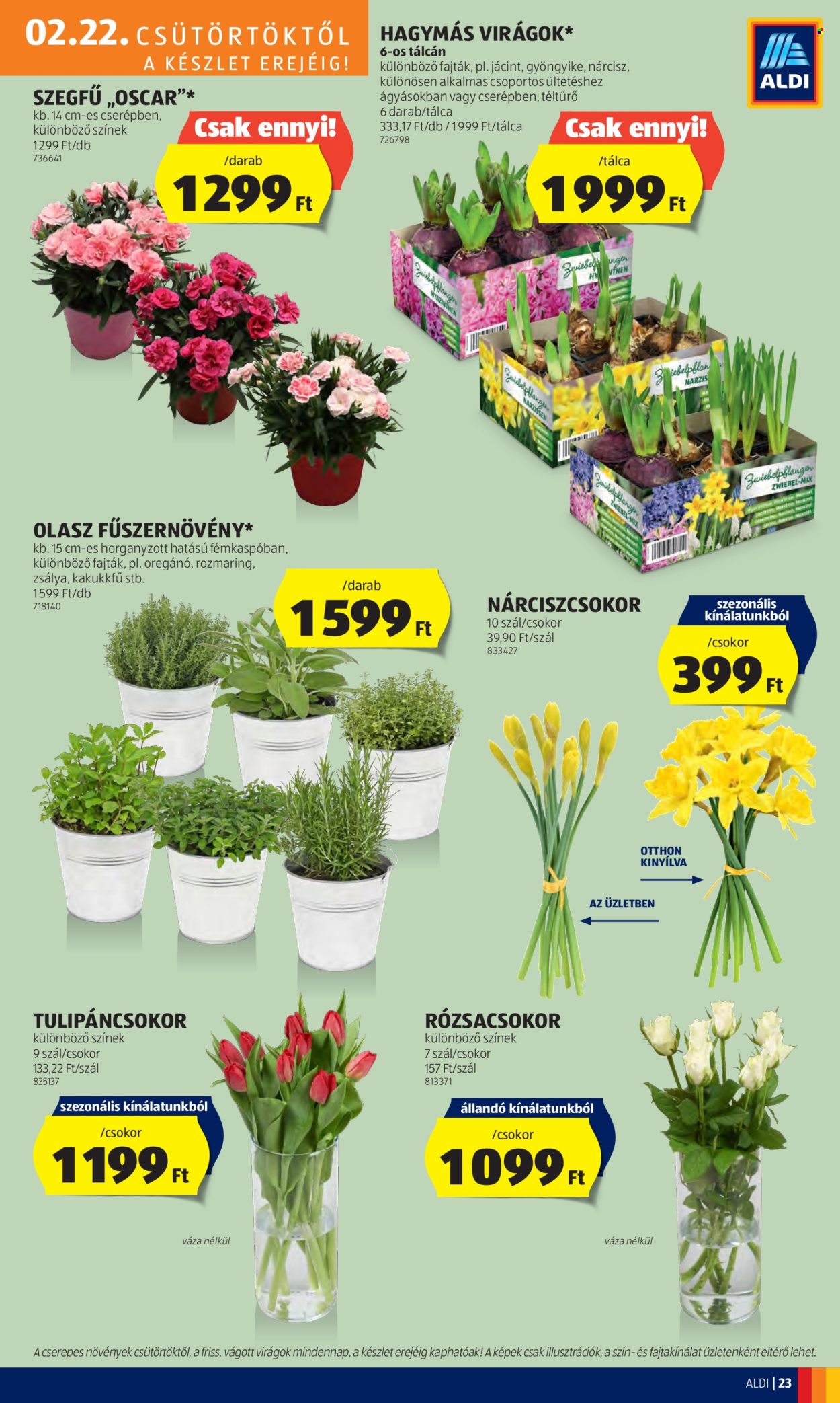 Aldi akciós újságok - 2024.02.22 - 2024.02.28. Oldal 25