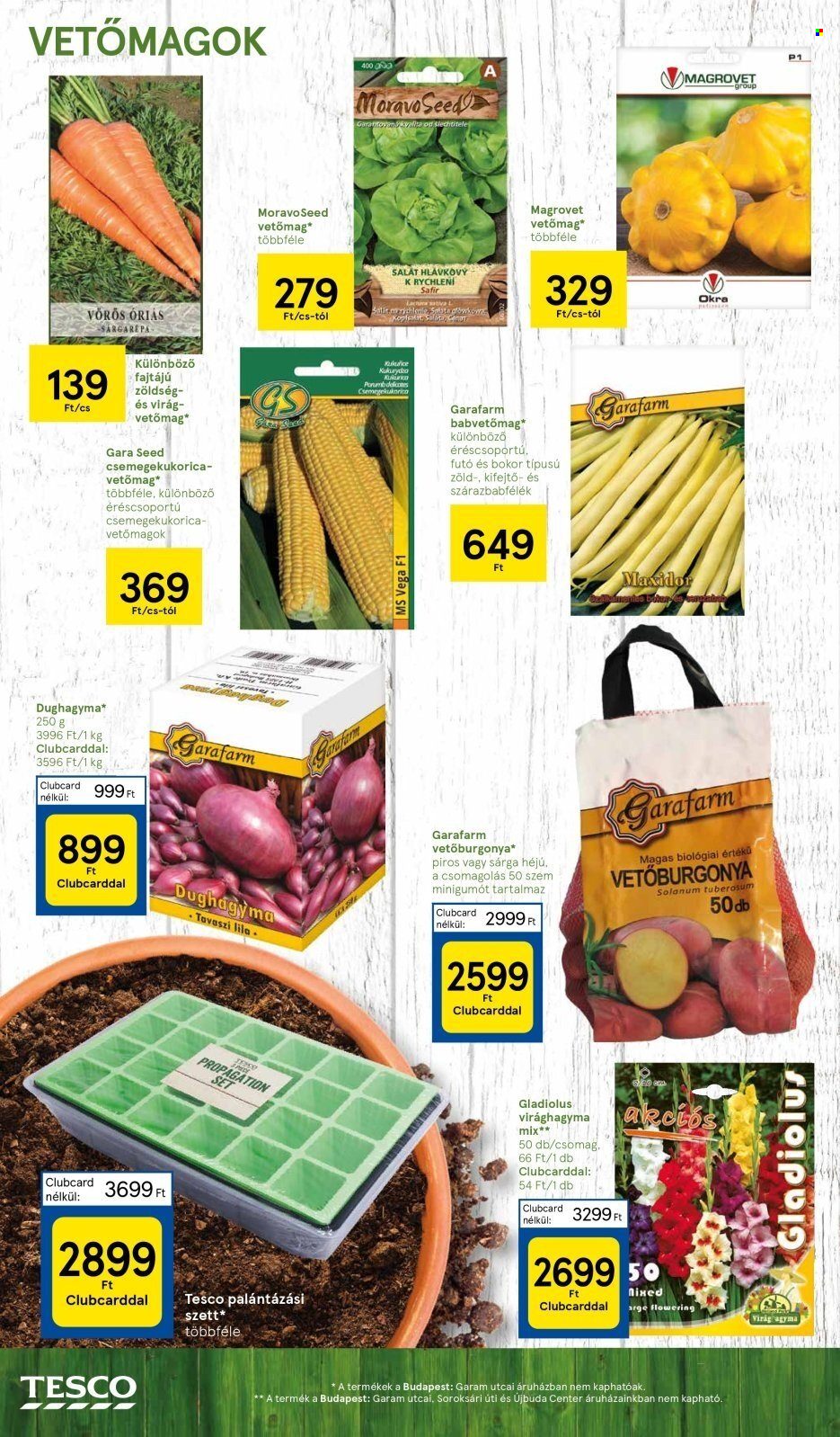 TESCO akciós újságok - 2024.02.28 - 2024.03.20. Oldal 6
