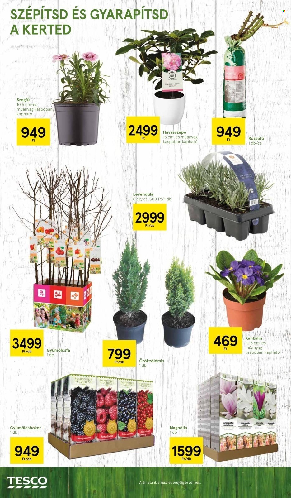 TESCO akciós újságok - 2024.02.28 - 2024.03.20. Oldal 8