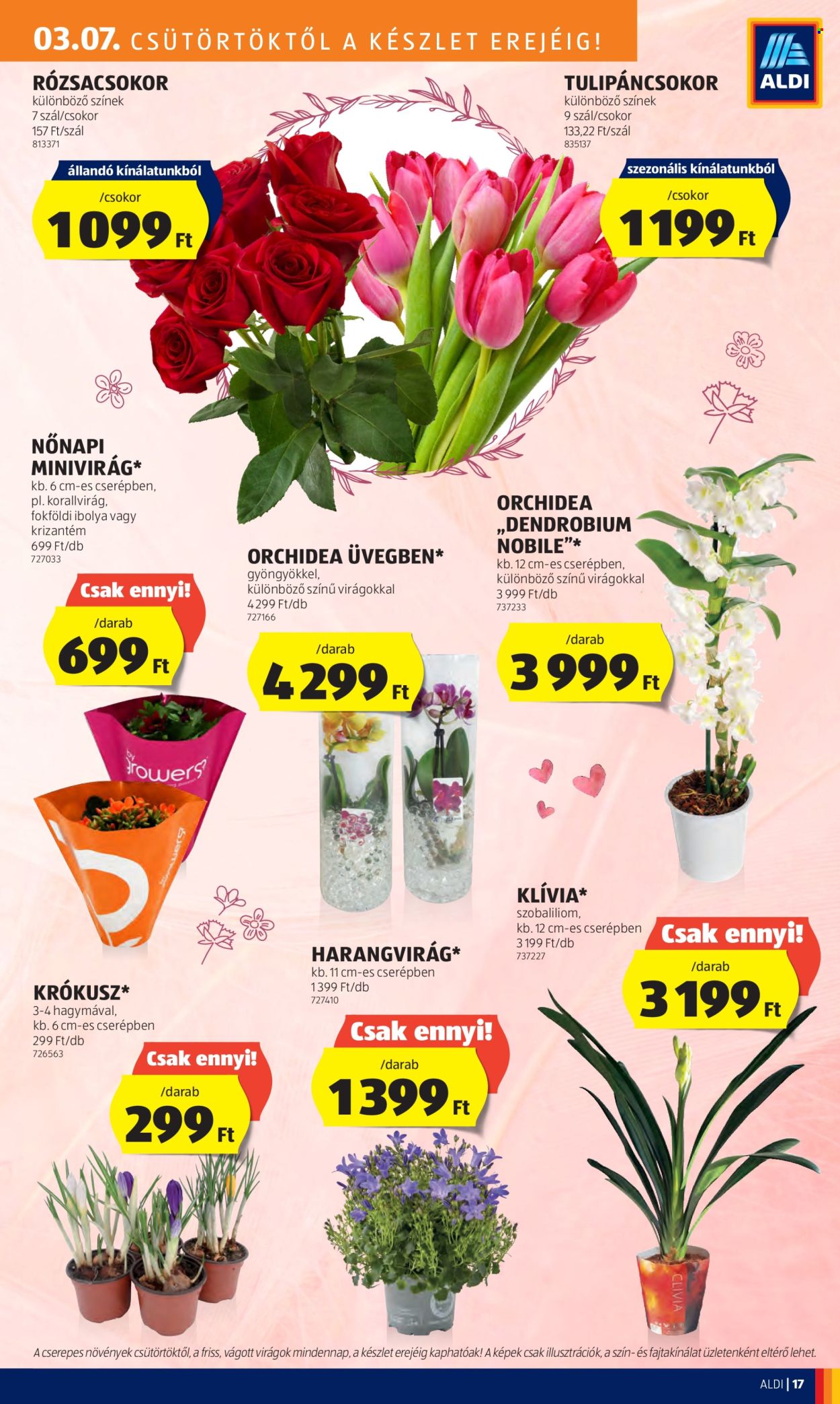 Aldi akciós újságok - 2024.03.07 - 2024.03.13. Oldal 19