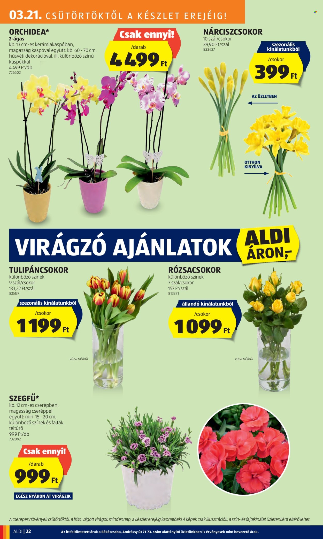 Aldi akciós újságok - 2024.03.21 - 2024.03.30. Oldal 24