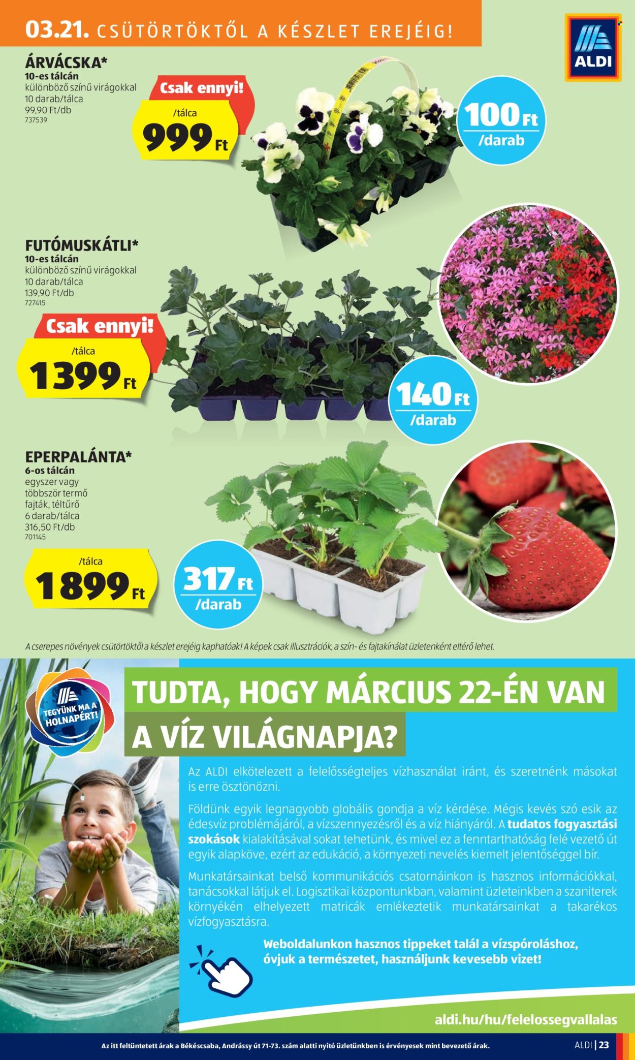 Aldi akciós újságok - 2024.03.21 - 2024.03.30. Oldal 25