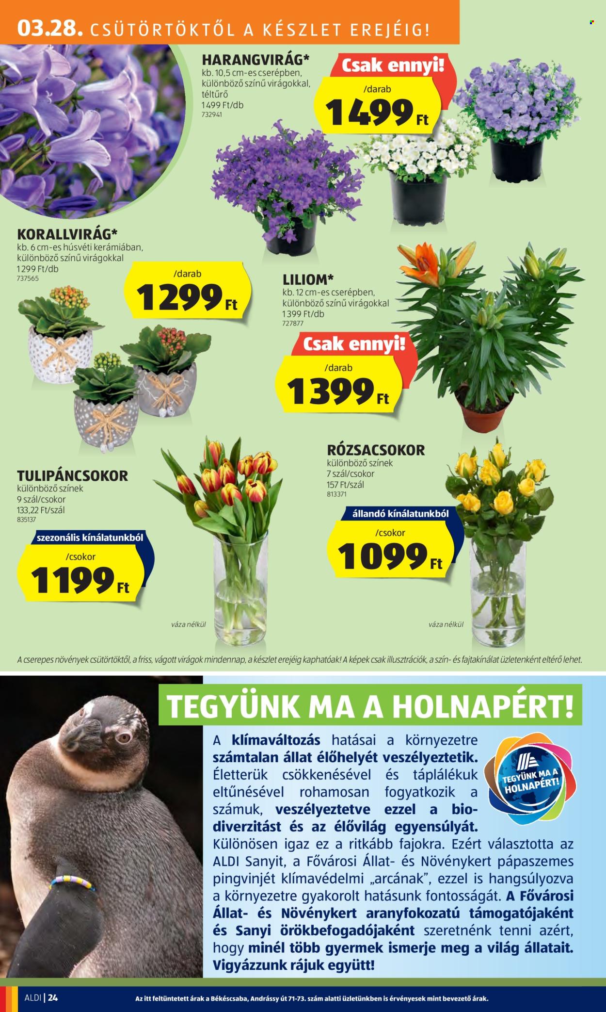 Aldi akciós újságok - 2024.03.28 - 2024.04.03. Oldal 26
