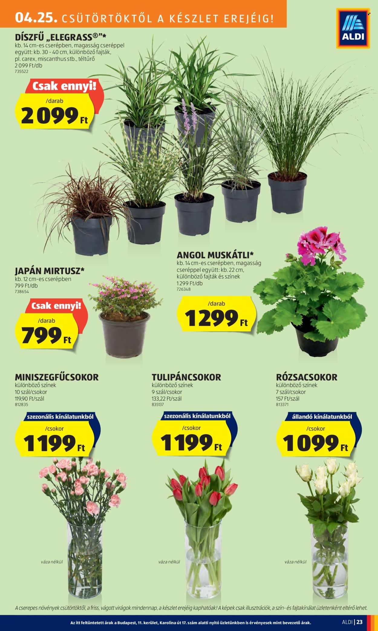 Aldi akciós újságok - 2024.04.25 - 2024.04.30. Oldal 25