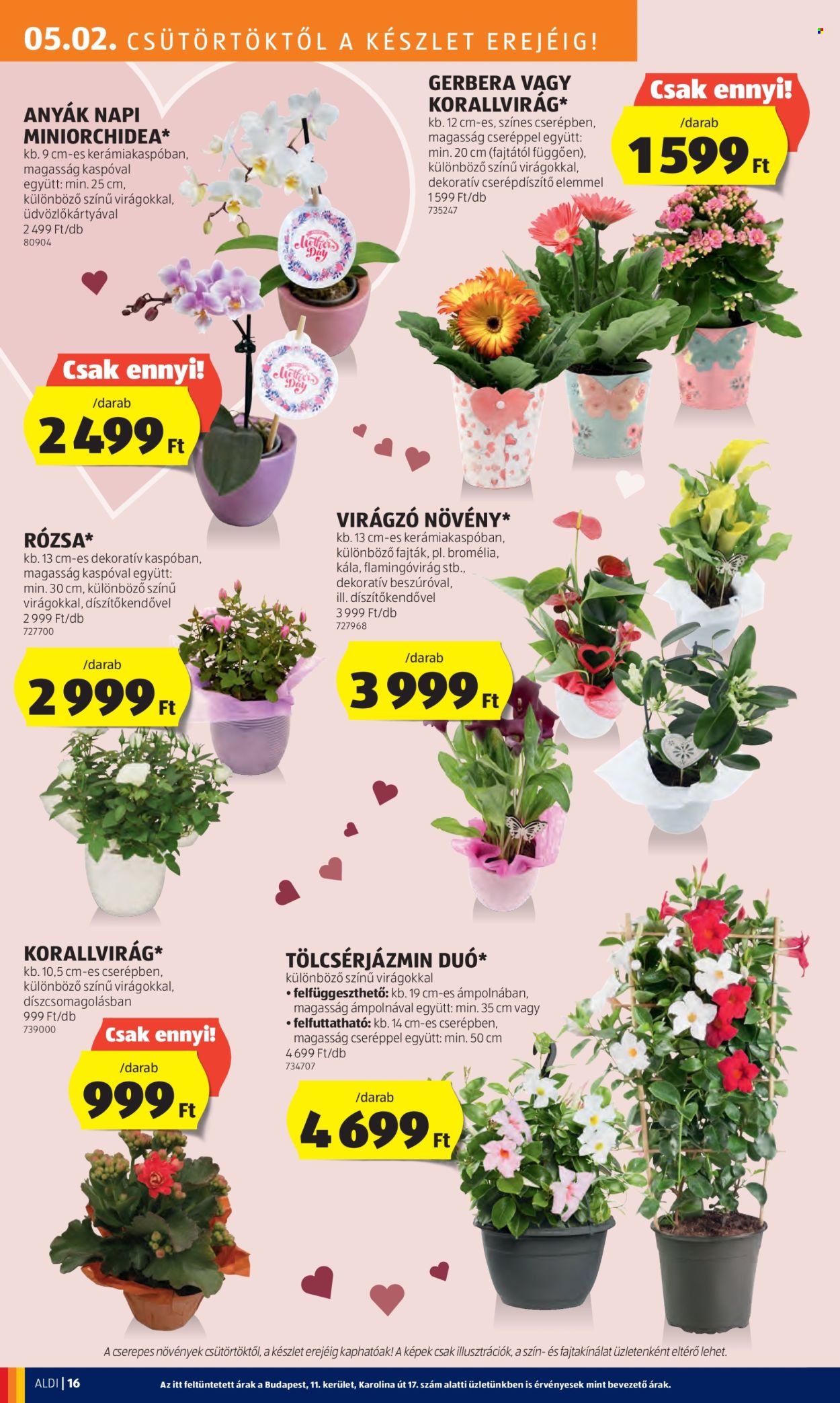 Aldi akciós újságok - 2024.05.02 - 2024.05.08. Oldal 18