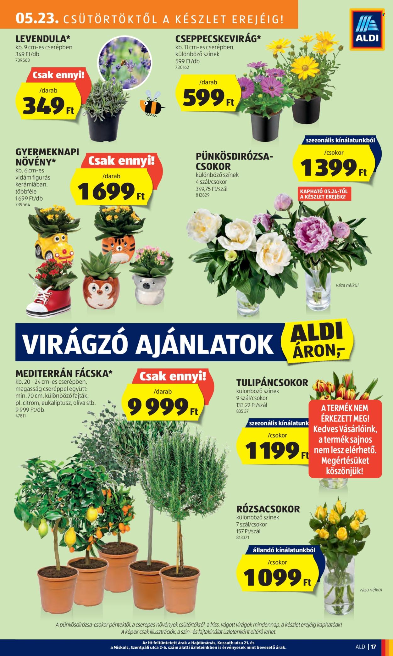Aldi akciós újságok - 2024.05.23 - 2024.05.29. Oldal 19