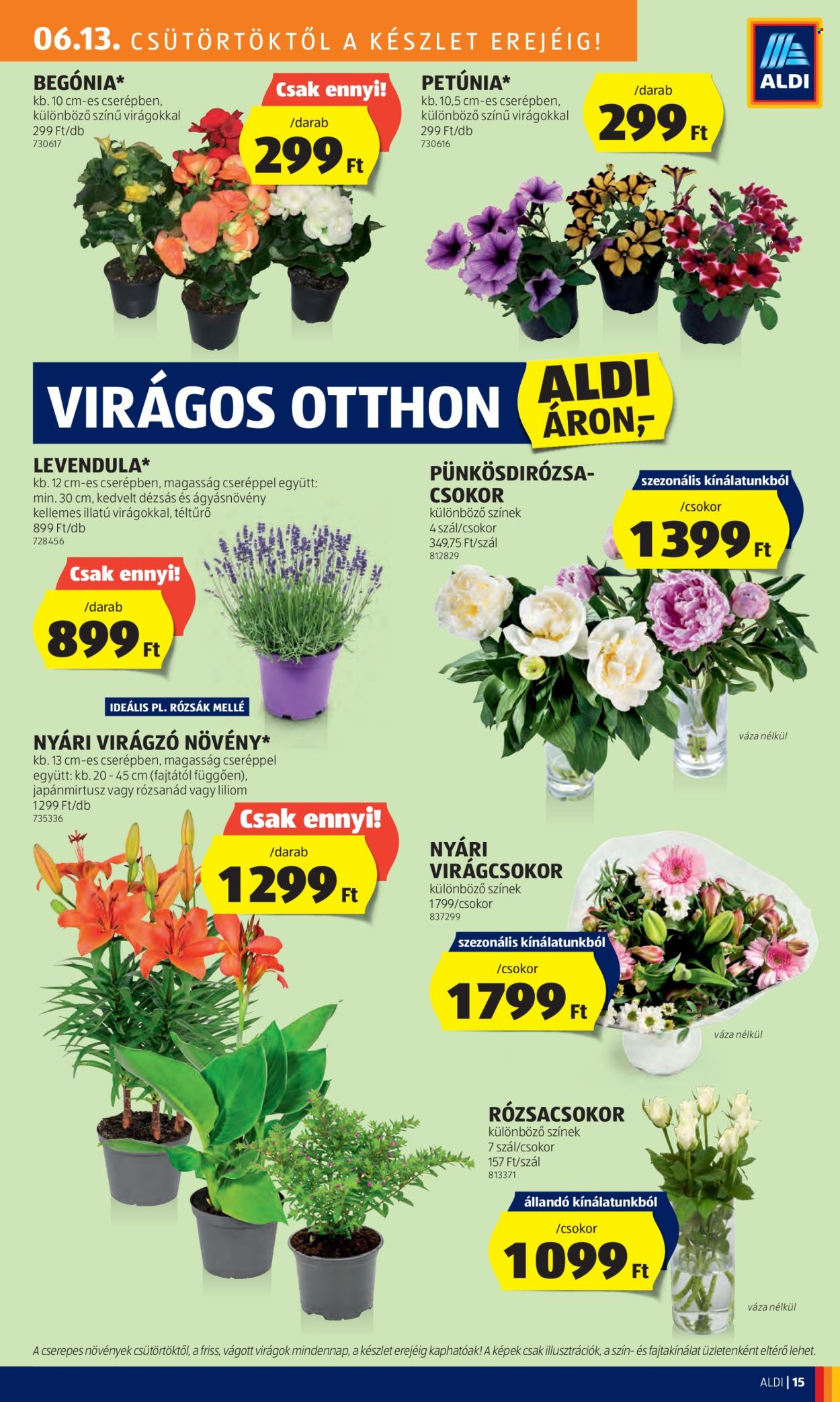 Aldi akciós újságok - 2024.06.13 - 2024.06.19. Oldal 17