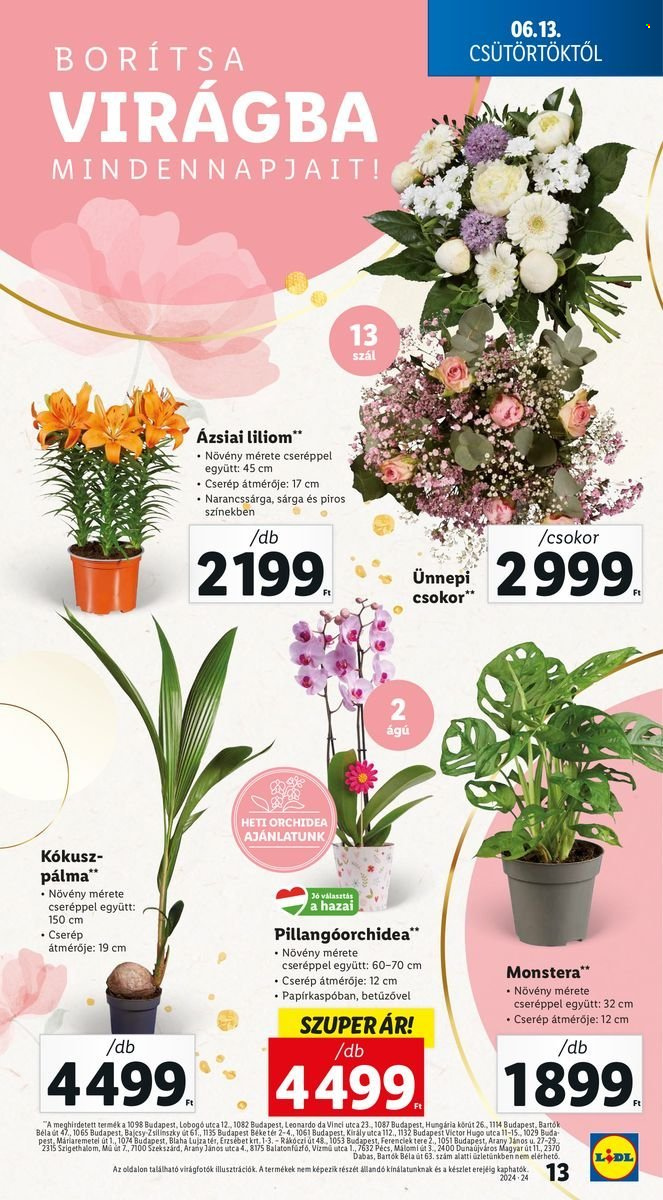 Lidl akciós újságok - 2024.06.13 - 2024.06.19. Oldal 13