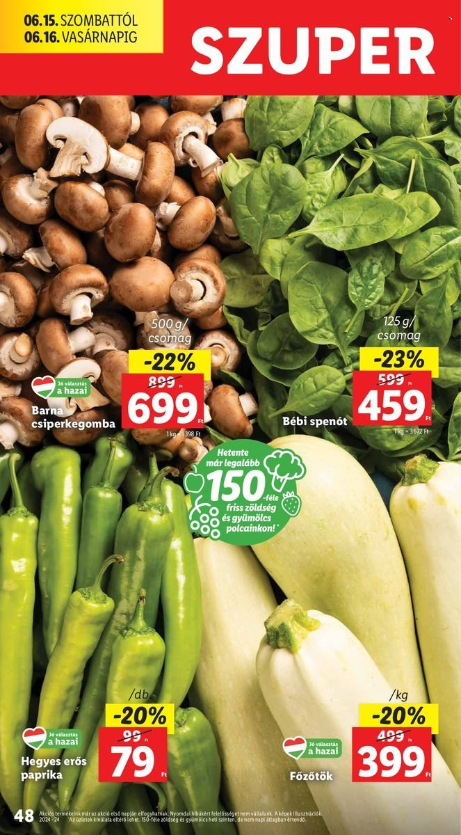 Lidl akciós újságok - 2024.06.13 - 2024.06.19. Oldal 48