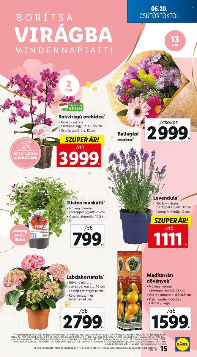 Lidl akciós újságok - 2024.06.20 - 2024.06.26. Oldal 15