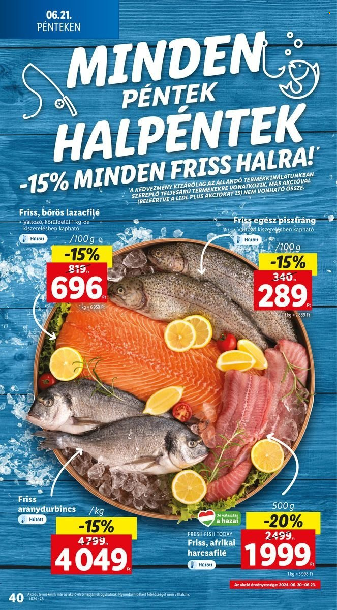 Lidl akciós újságok - 2024.06.20 - 2024.06.26. Oldal 40