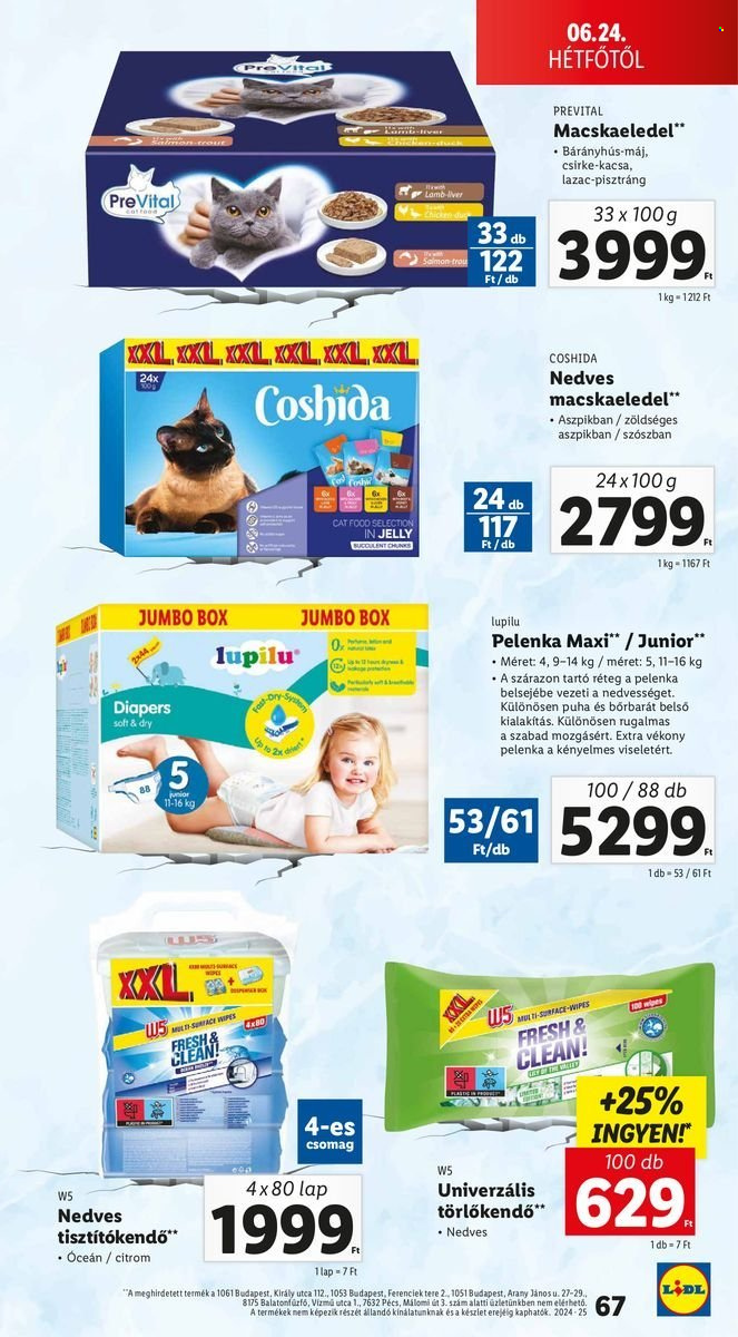 Lidl akciós újságok - 2024.06.20 - 2024.06.26. Oldal 67
