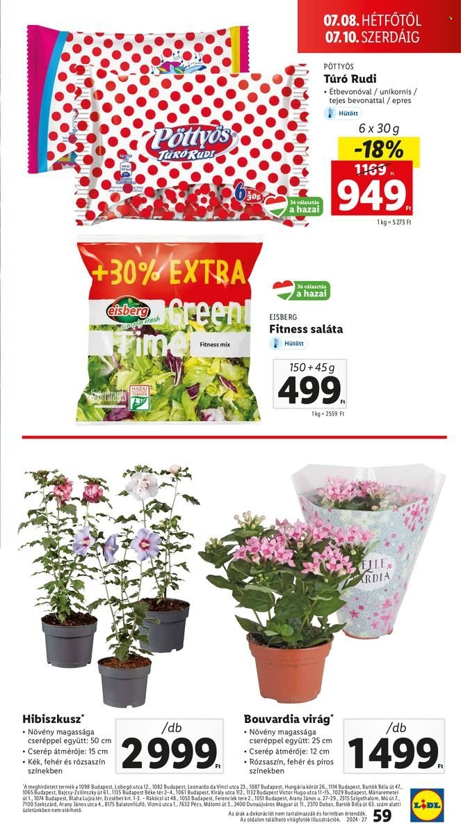Lidl akciós újságok - 2024.07.04 - 2024.07.10. Oldal 61