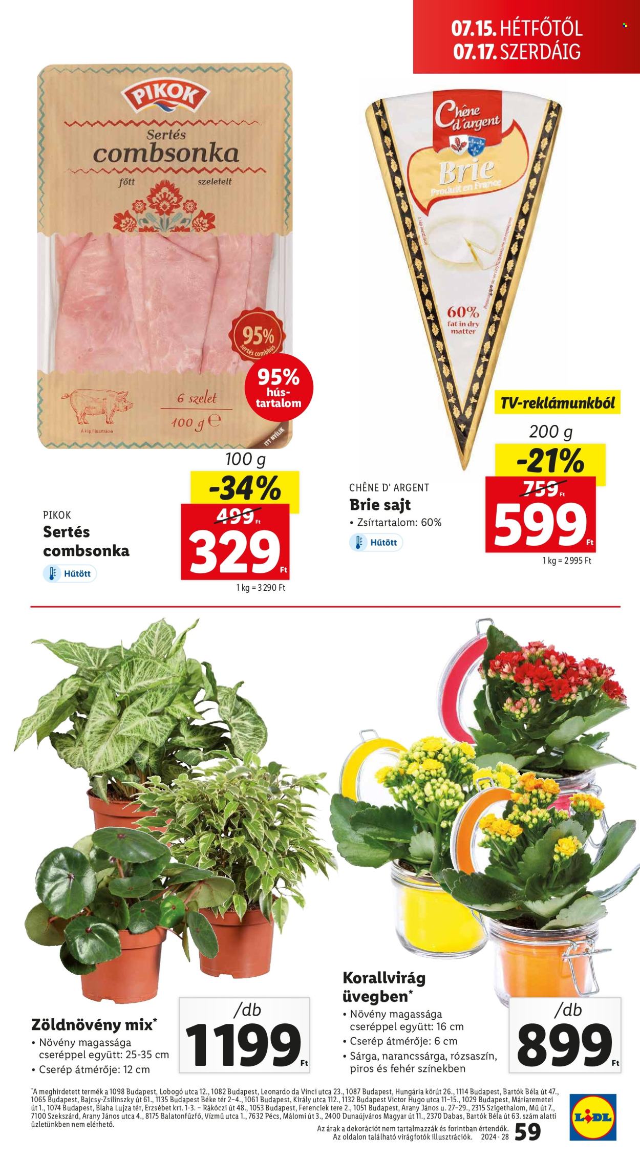 Lidl akciós újságok - 2024.07.11 - 2024.07.17. Oldal 59