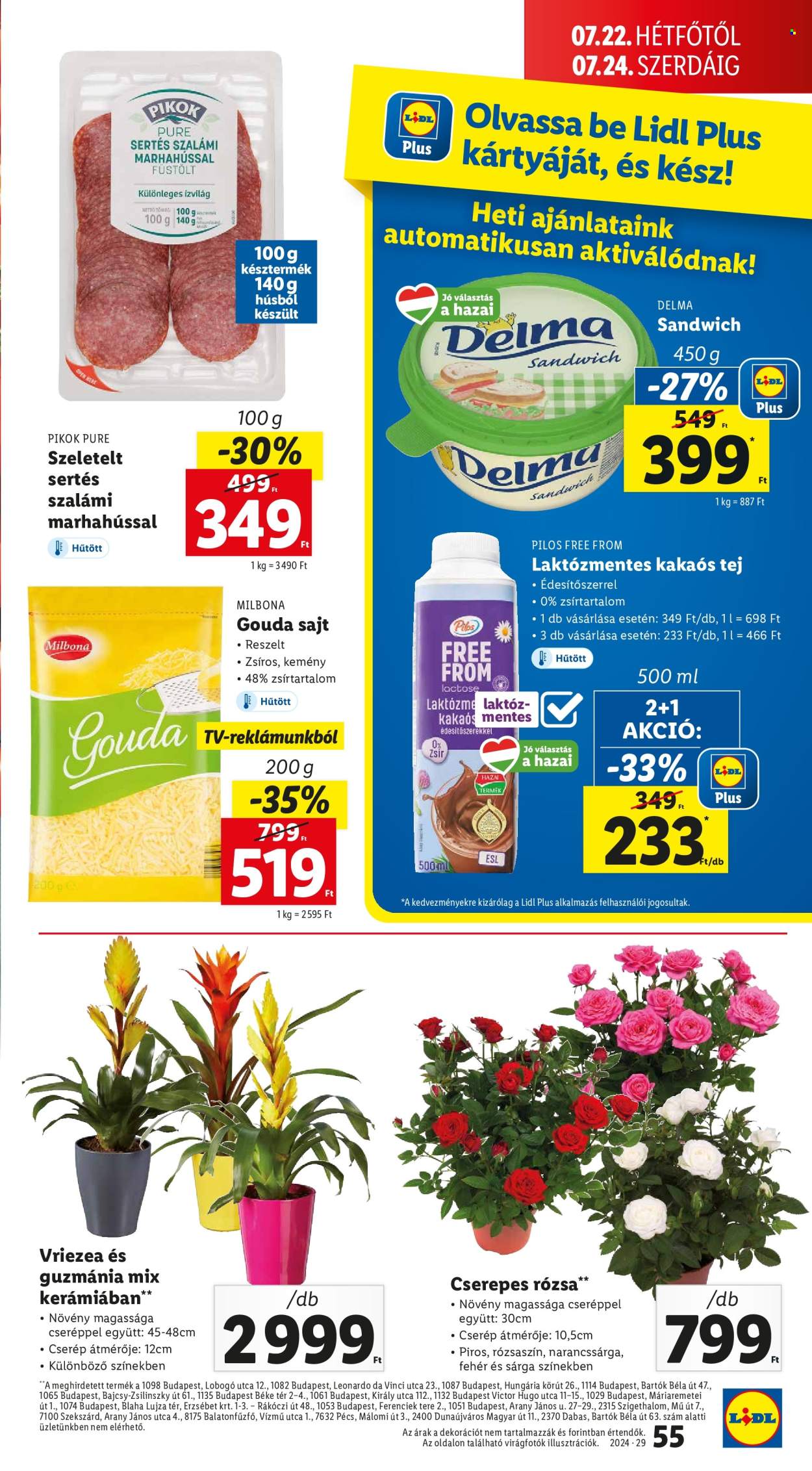 Lidl akciós újságok - 2024.07.18 - 2024.07.24. Oldal 55