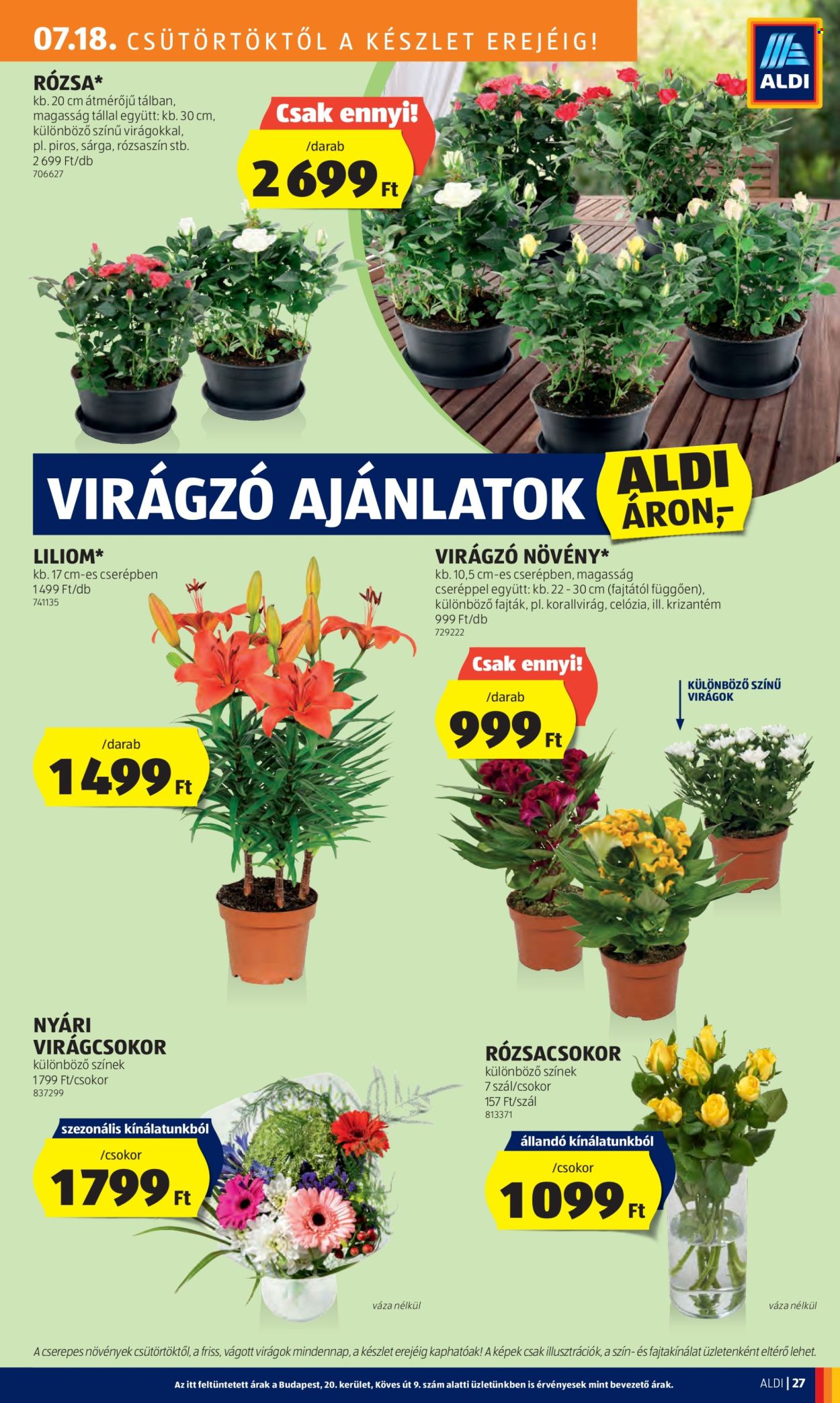 Aldi akciós újságok - 2024.07.18 - 2024.07.24. Oldal 29