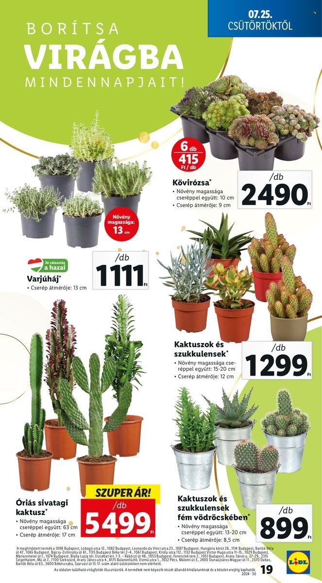 Lidl akciós újságok - 2024.07.25 - 2024.07.31. Oldal 19