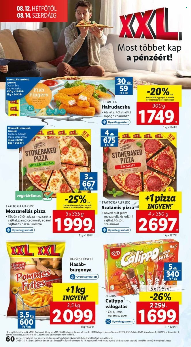 Lidl akciós újságok - 2024.08.08 - 2024.08.14. Oldal 60