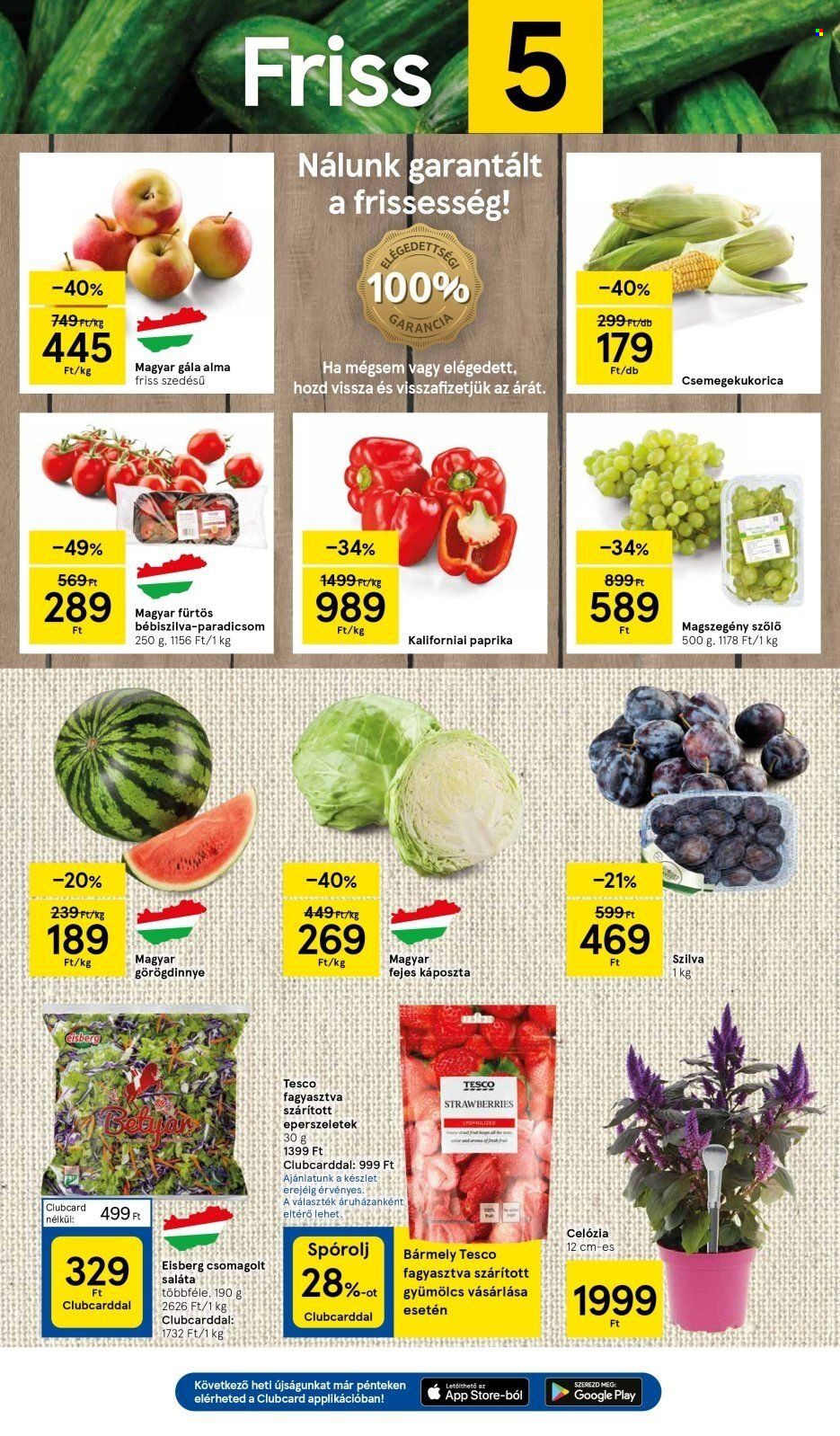 TESCO akciós újságok - 2024.08.22 - 2024.08.28. Oldal 3