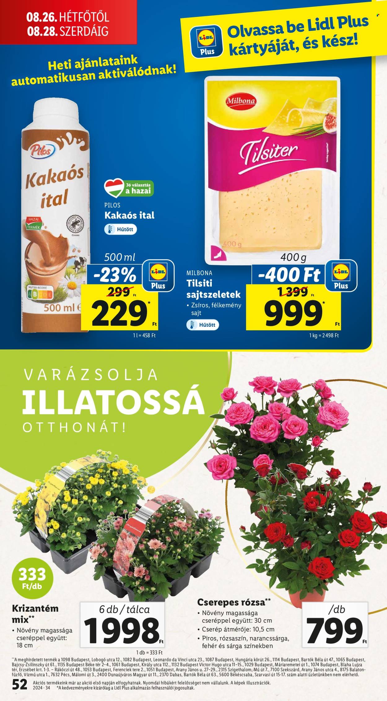 Lidl akciós újságok - 2024.08.22 - 2024.08.28. Oldal 52