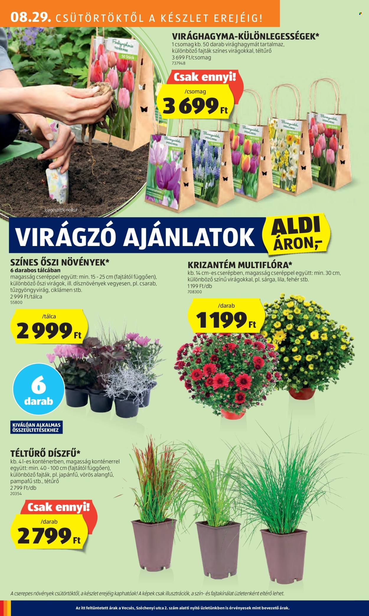 Aldi akciós újságok - 2024.08.29 - 2024.09.04. Oldal 24