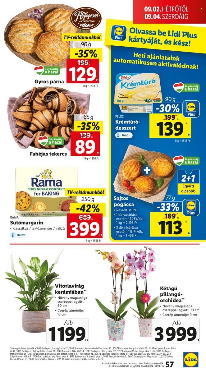 Lidl akciós újságok - 2024.08.29 - 2024.09.04. Oldal 57