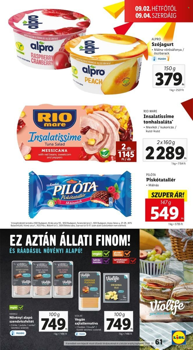 Lidl akciós újságok - 2024.08.29 - 2024.09.04. Oldal 61