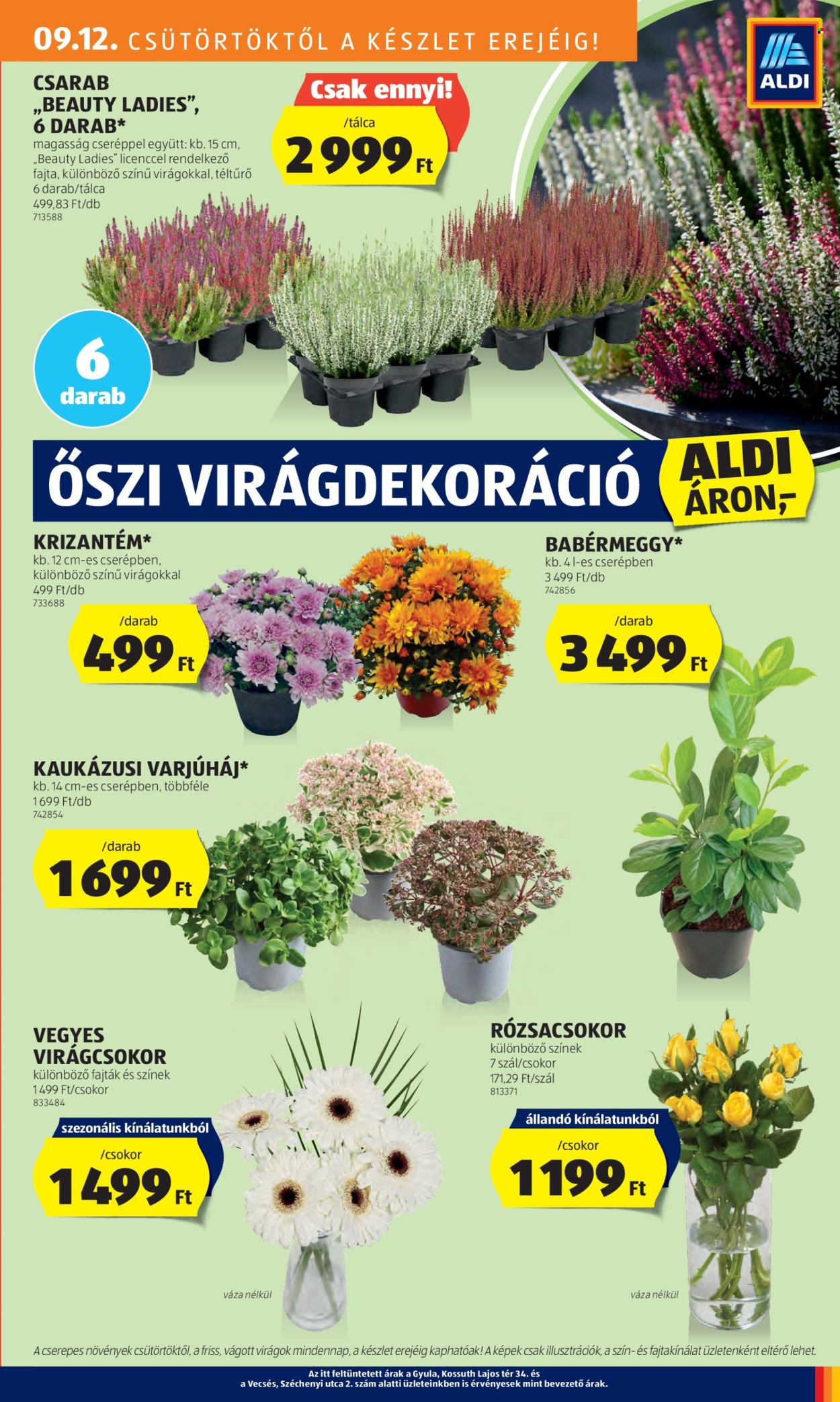 Aldi akciós újságok - 2024.09.12 - 2024.09.18. Oldal 27