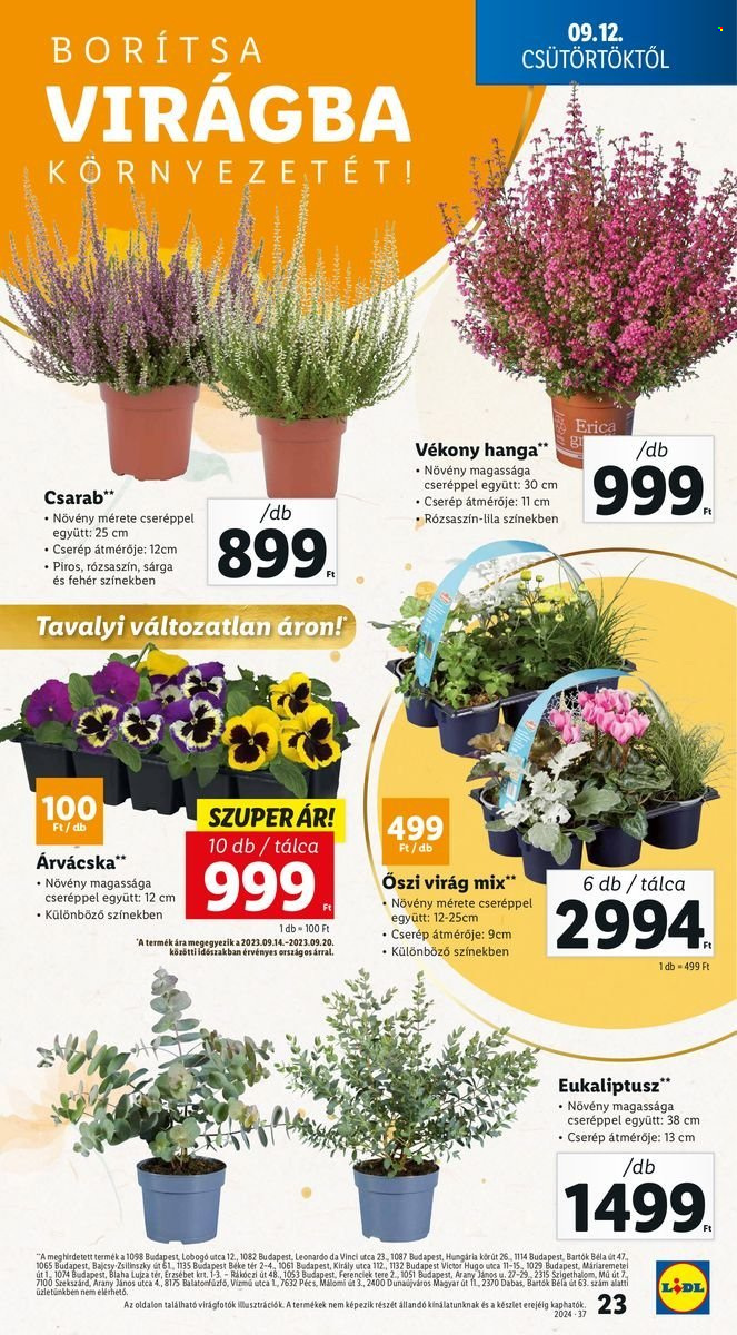 Lidl akciós újságok - 2024.09.12 - 2024.09.18. Oldal 23