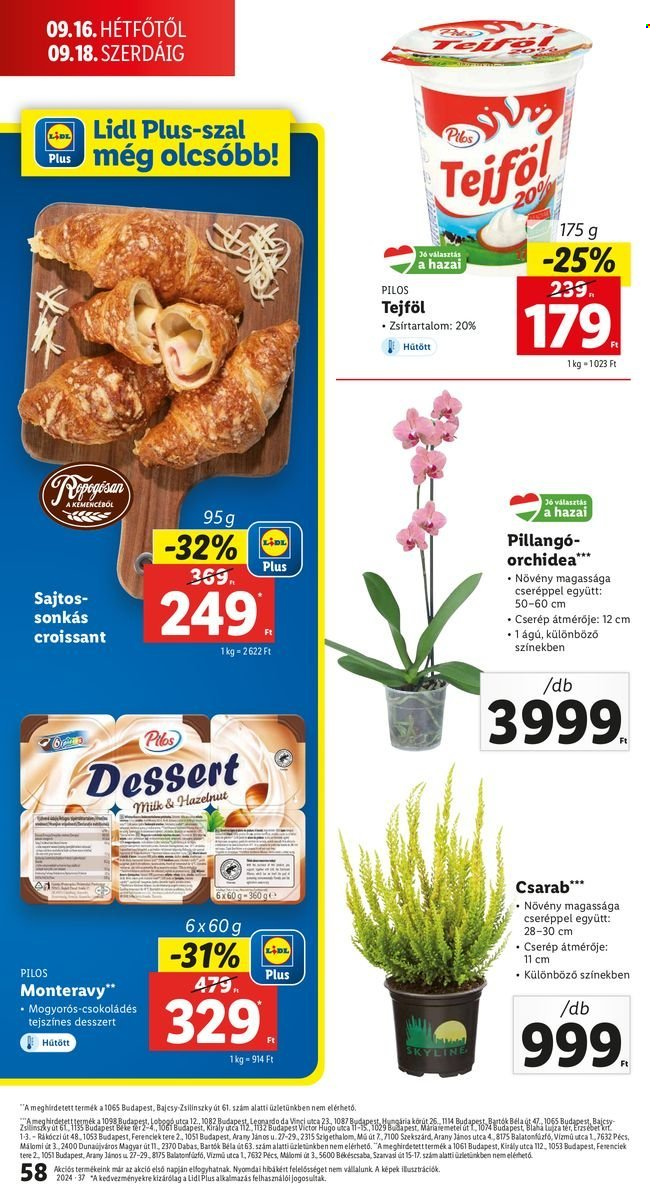 Lidl akciós újságok - 2024.09.12 - 2024.09.18. Oldal 58