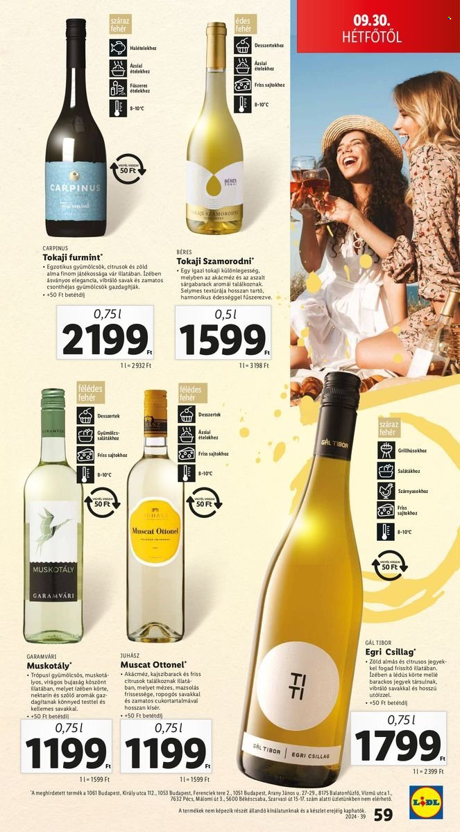 Lidl akciós újságok - 2024.09.26 - 2024.10.02. Oldal 61