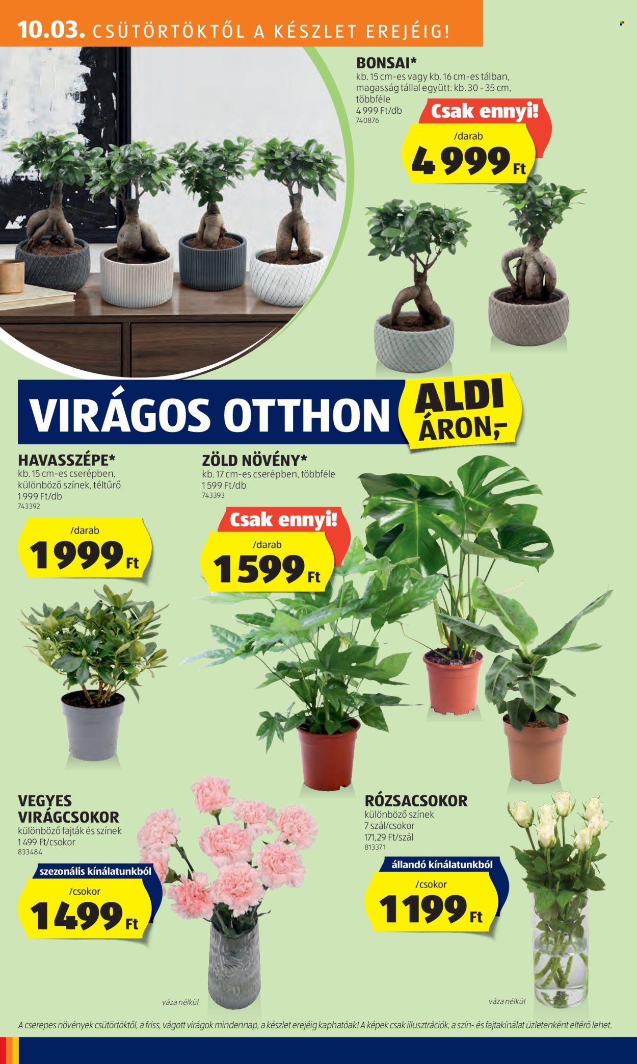 Aldi akciós újságok - 2024.10.03 - 2024.10.09. Oldal 26