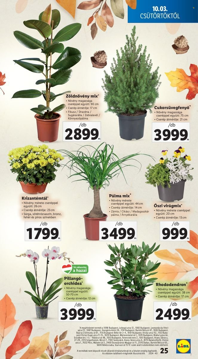 Lidl akciós újságok - 2024.10.03 - 2024.10.09. Oldal 25