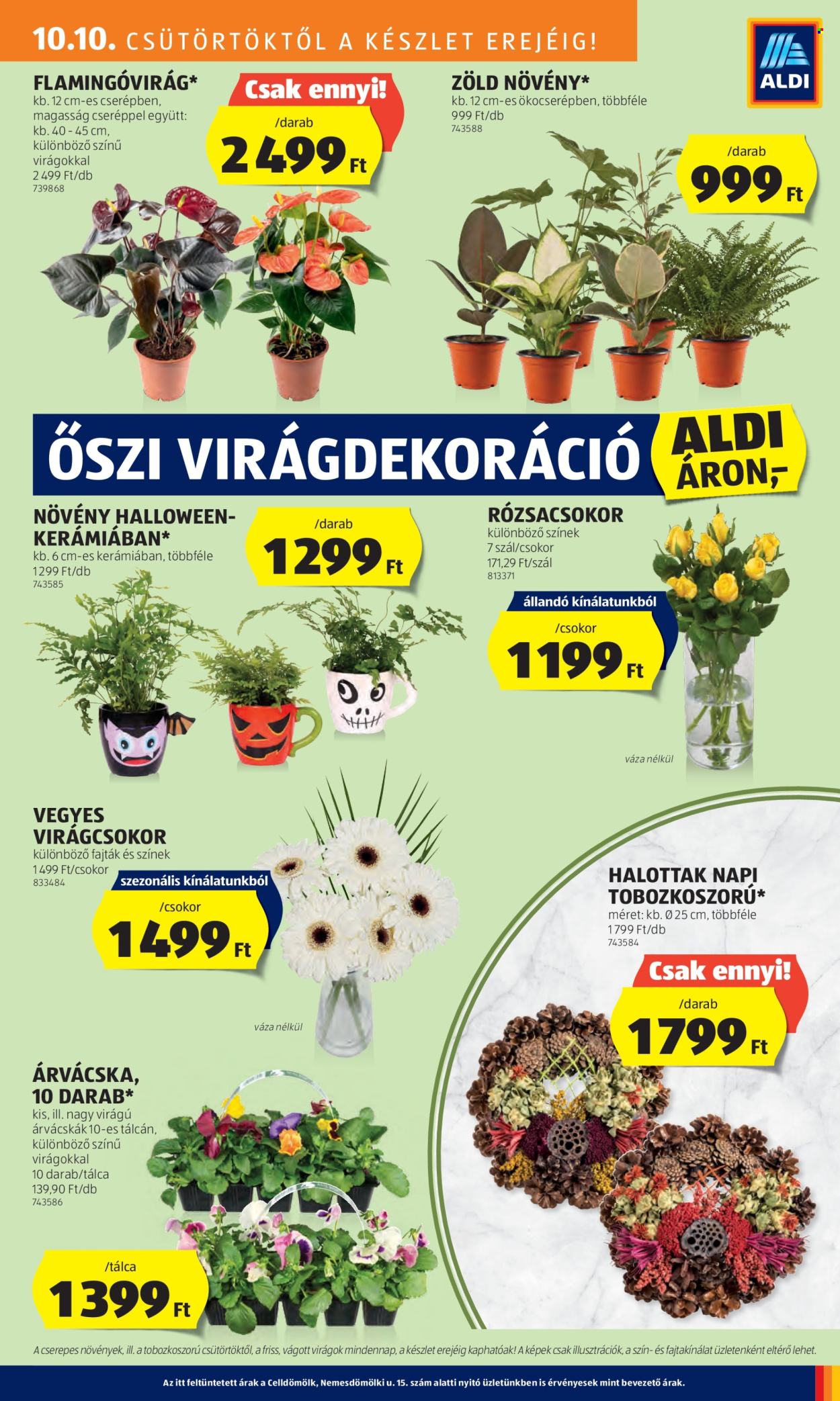 Aldi akciós újságok - 2024.10.10 - 2024.10.16. Oldal 27