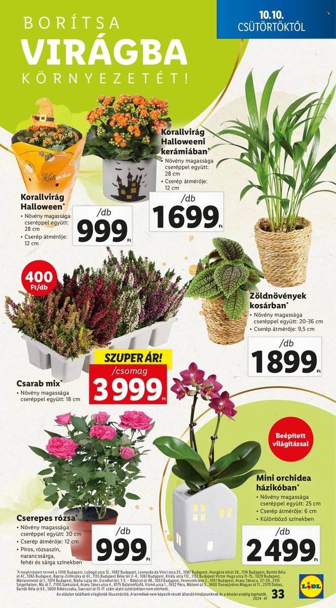 Lidl akciós újságok - 2024.10.10 - 2024.10.16. Oldal 33