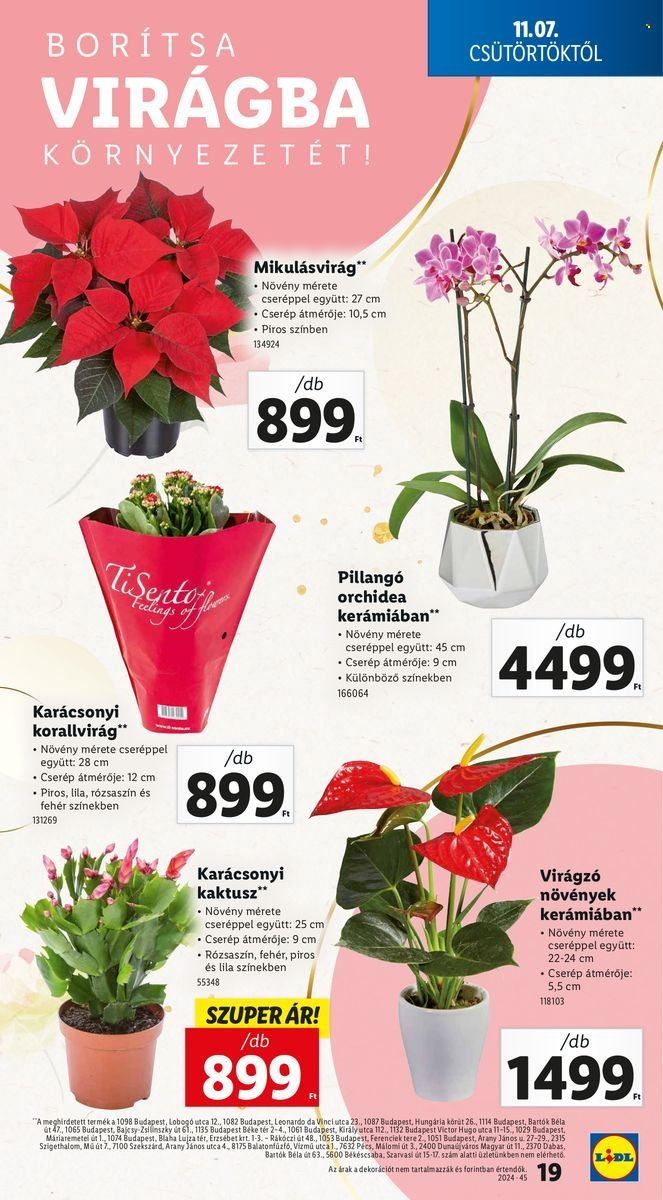 Lidl akciós újságok - 2024.11.07 - 2024.11.13. Oldal 19