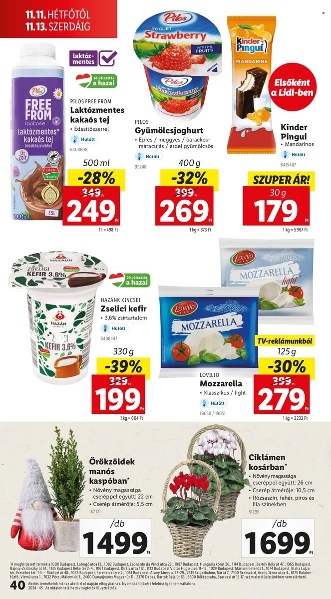 Lidl akciós újságok - 2024.11.07 - 2024.11.13. Oldal 40