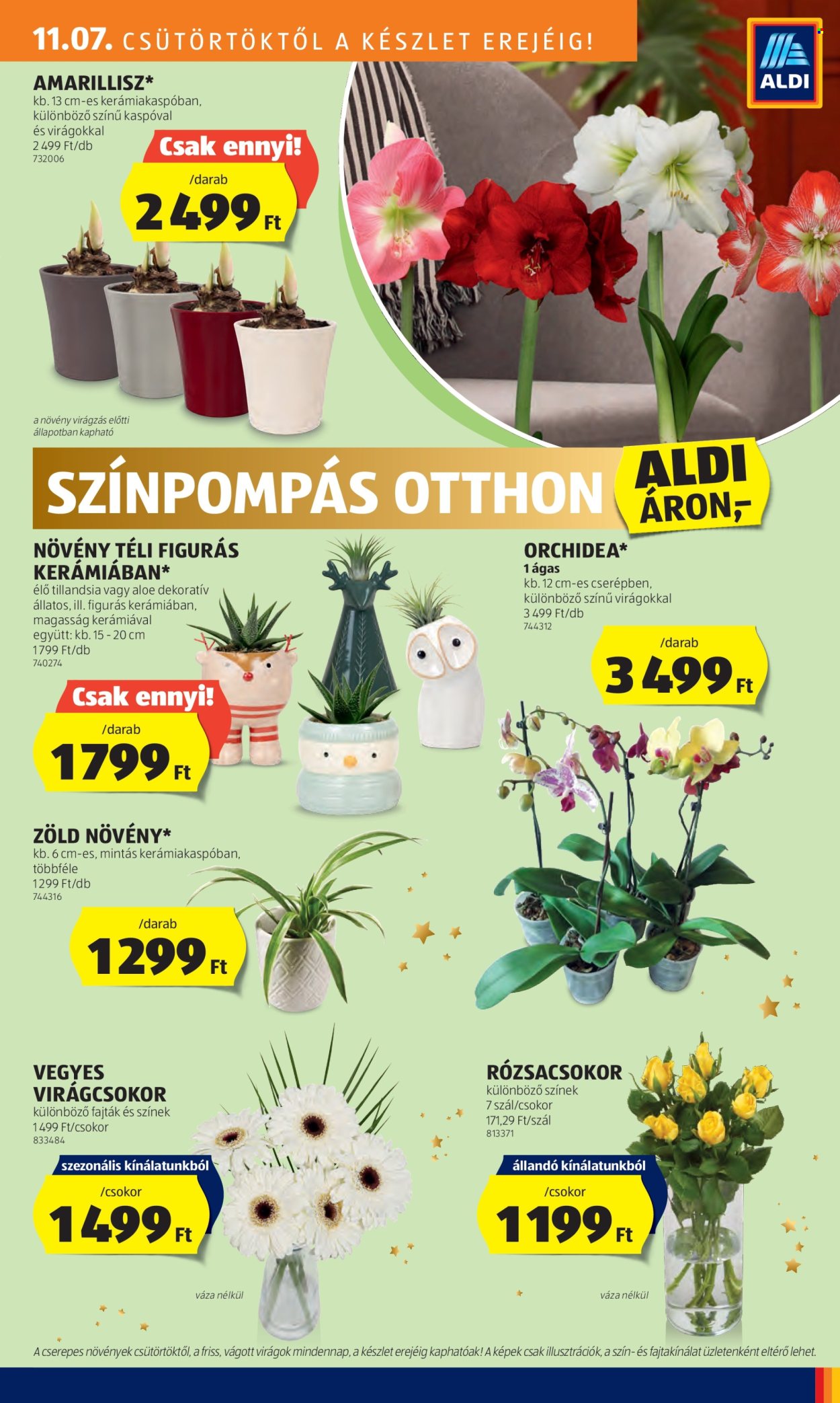 Aldi akciós újságok - 2024.11.07 - 2024.11.13. Oldal 35