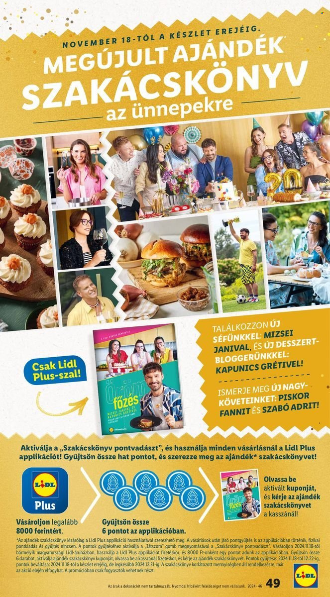 Lidl akciós újságok - 2024.11.14 - 2024.11.20. Oldal 49