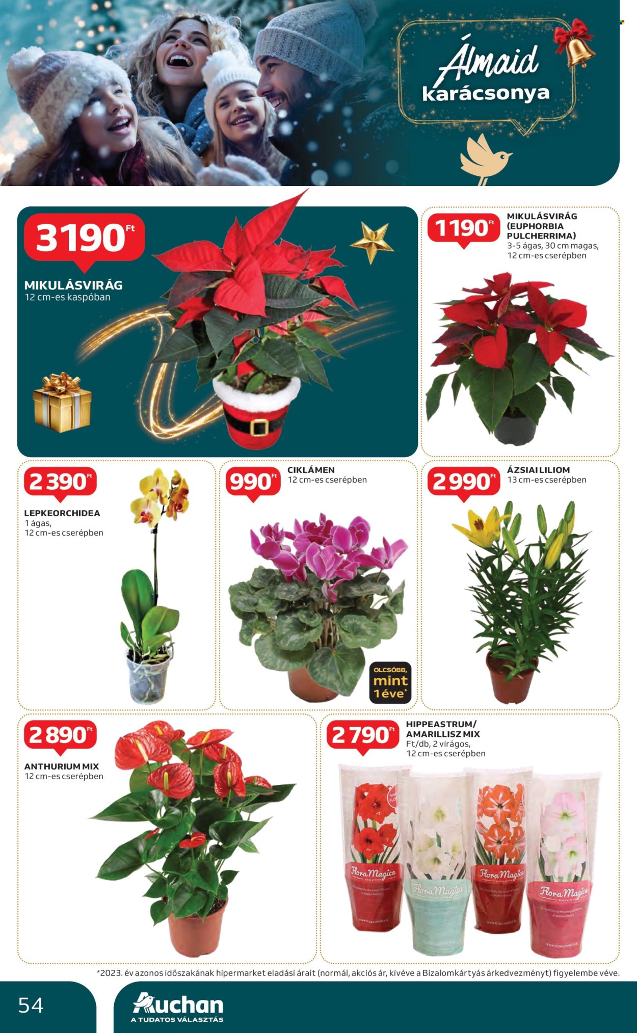 Auchan akciós újságok - 2024.11.21 - 2024.11.27. Oldal 54
