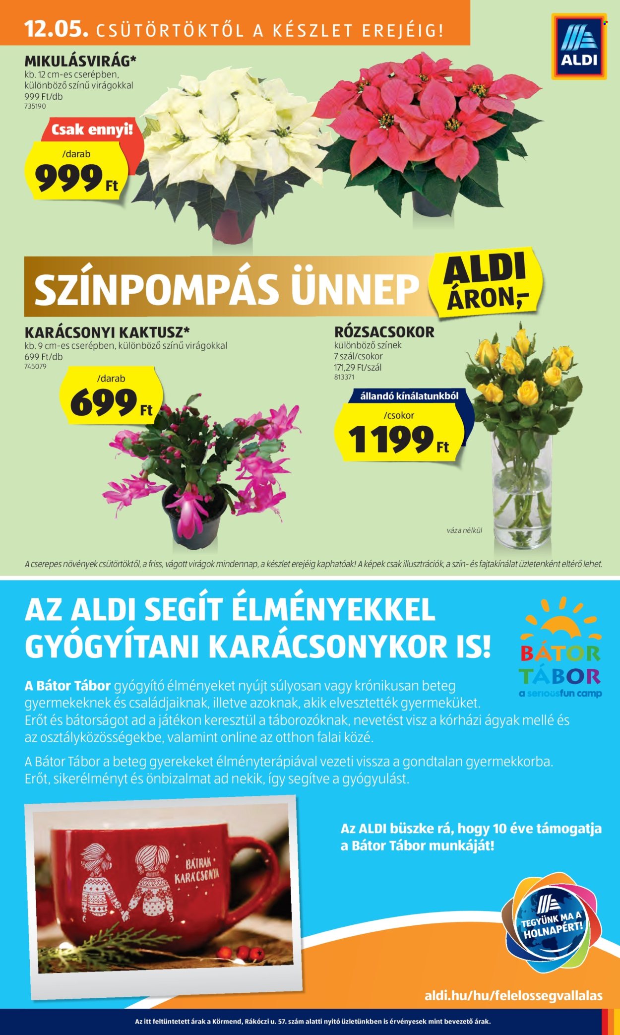 Aldi akciós újságok - 2024.12.05 - 2024.12.11. Oldal 41