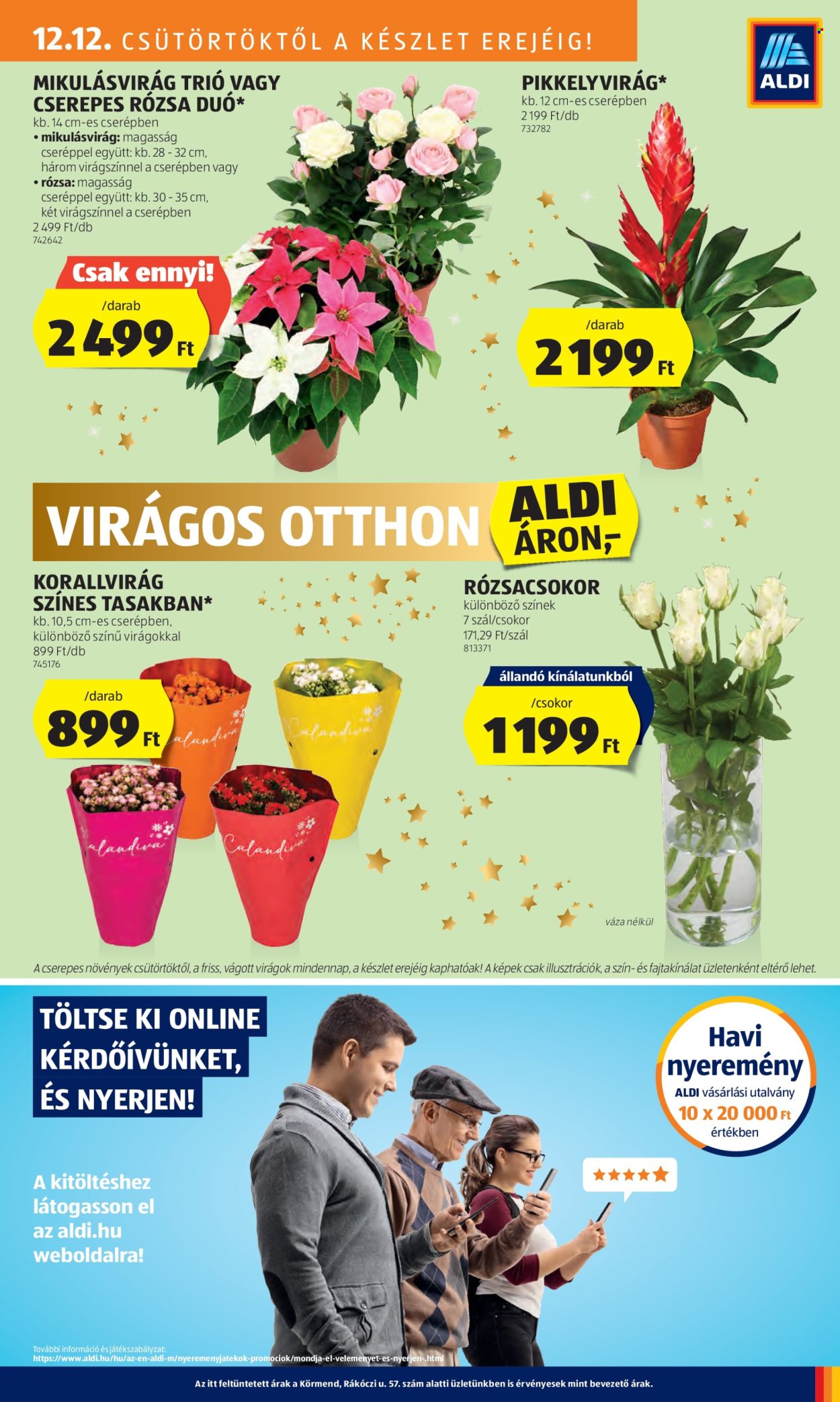 Aldi akciós újságok - 2024.12.12 - 2024.12.18. Oldal 37