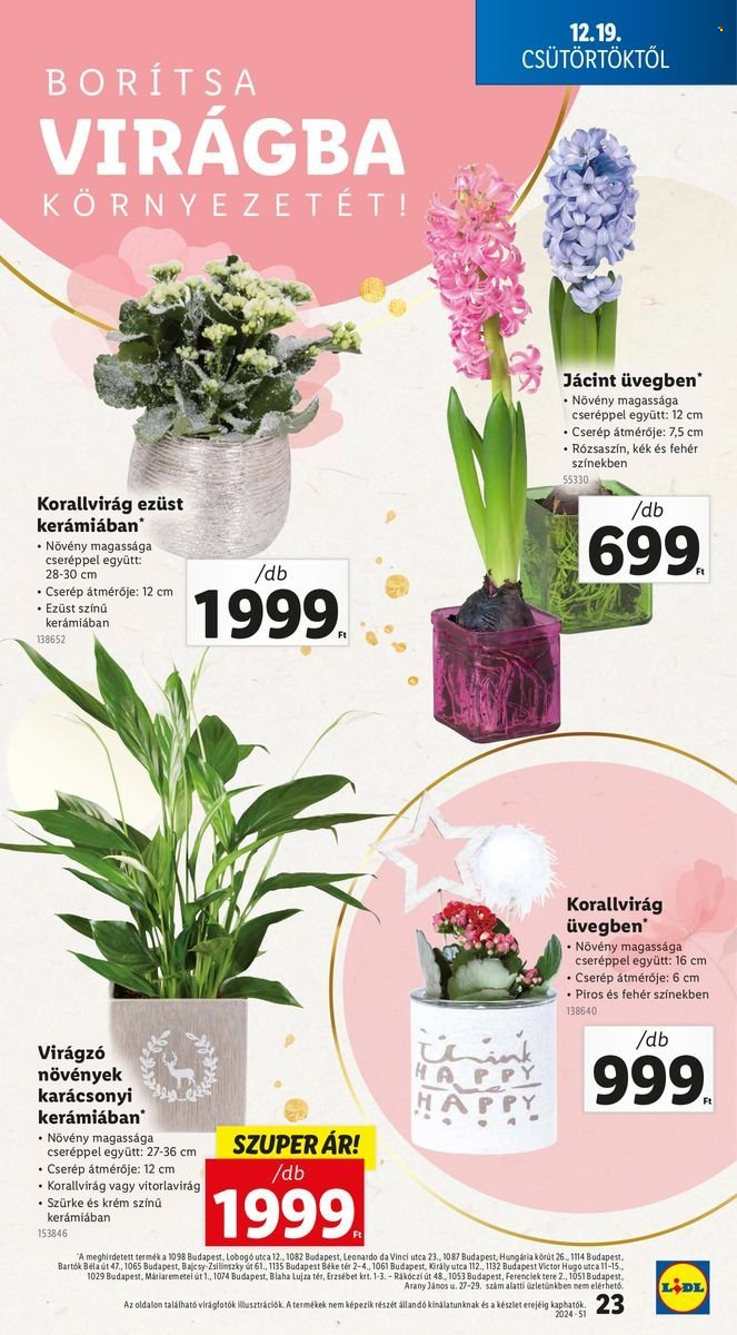 Lidl akciós újságok - 2024.12.19 - 2024.12.23. Oldal 23