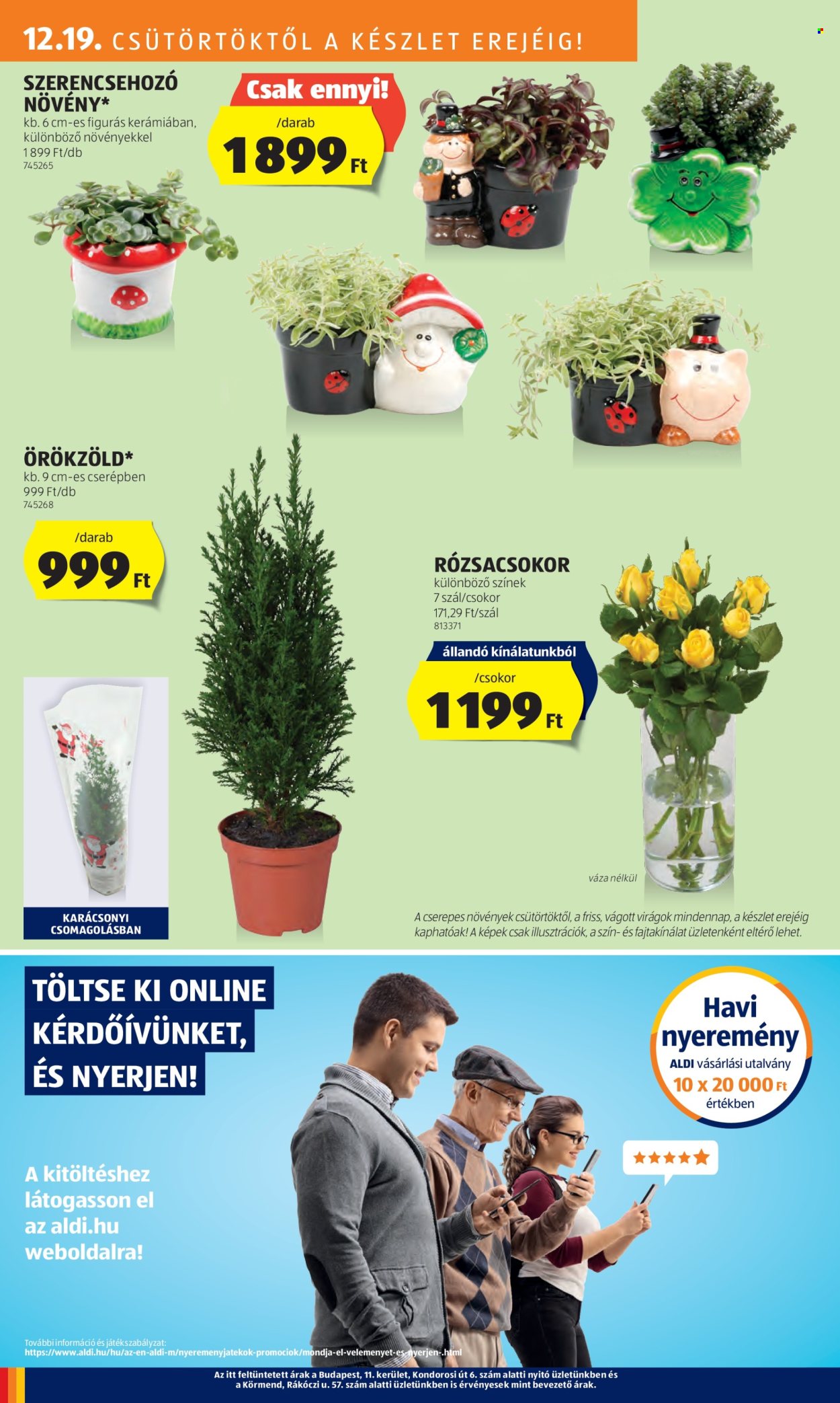 Aldi akciós újságok - 2024.12.19 - 2024.12.24. Oldal 34