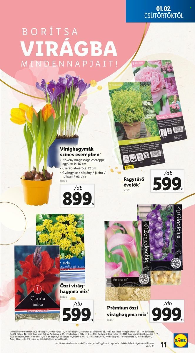 Lidl akciós újságok - 2025.01.02 - 2025.01.08. Oldal 11