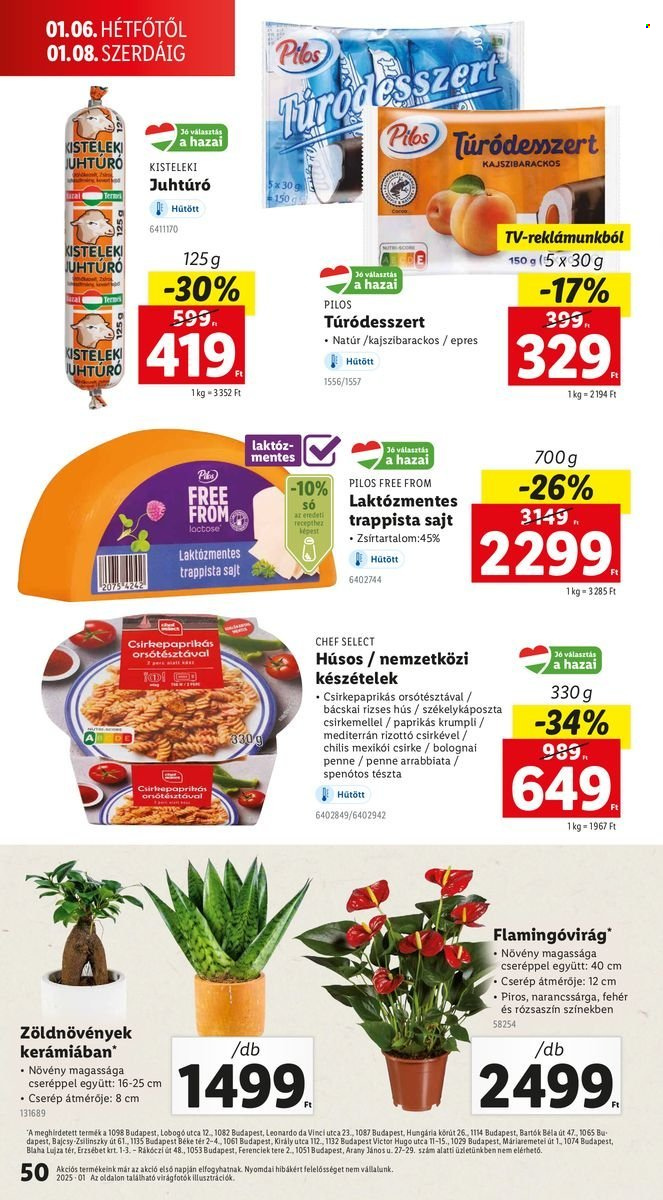Lidl akciós újságok - 2025.01.02 - 2025.01.08. Oldal 50