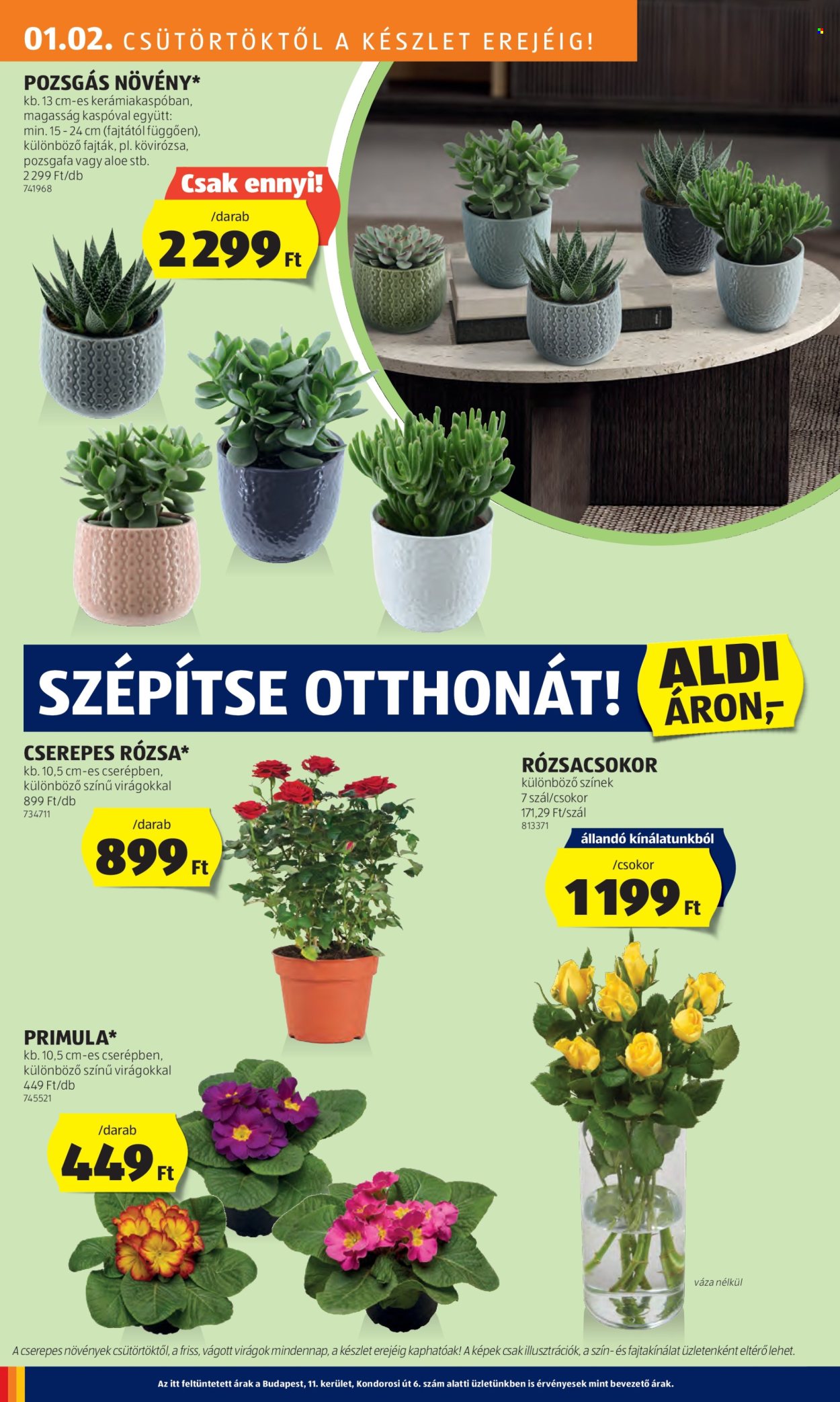 Aldi akciós újságok - 2025.01.02 - 2025.01.08. Oldal 24