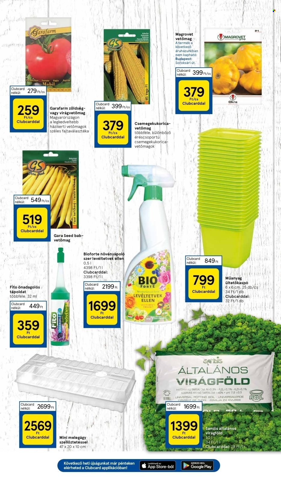 TESCO akciós újságok - 2025.01.09 - 2025.01.15. Oldal 31