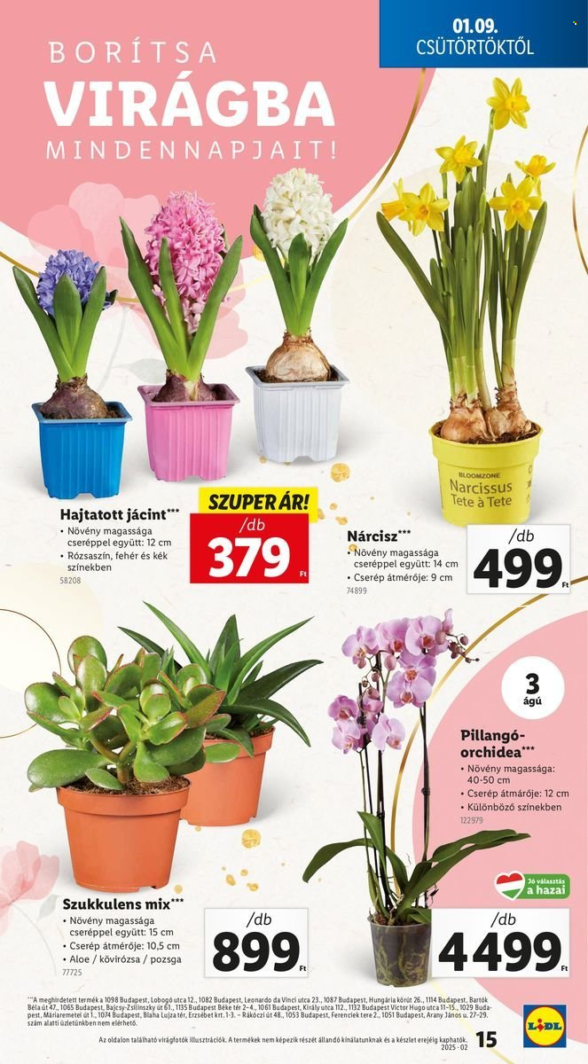 Lidl akciós újságok - 2025.01.09 - 2025.01.15. Oldal 15