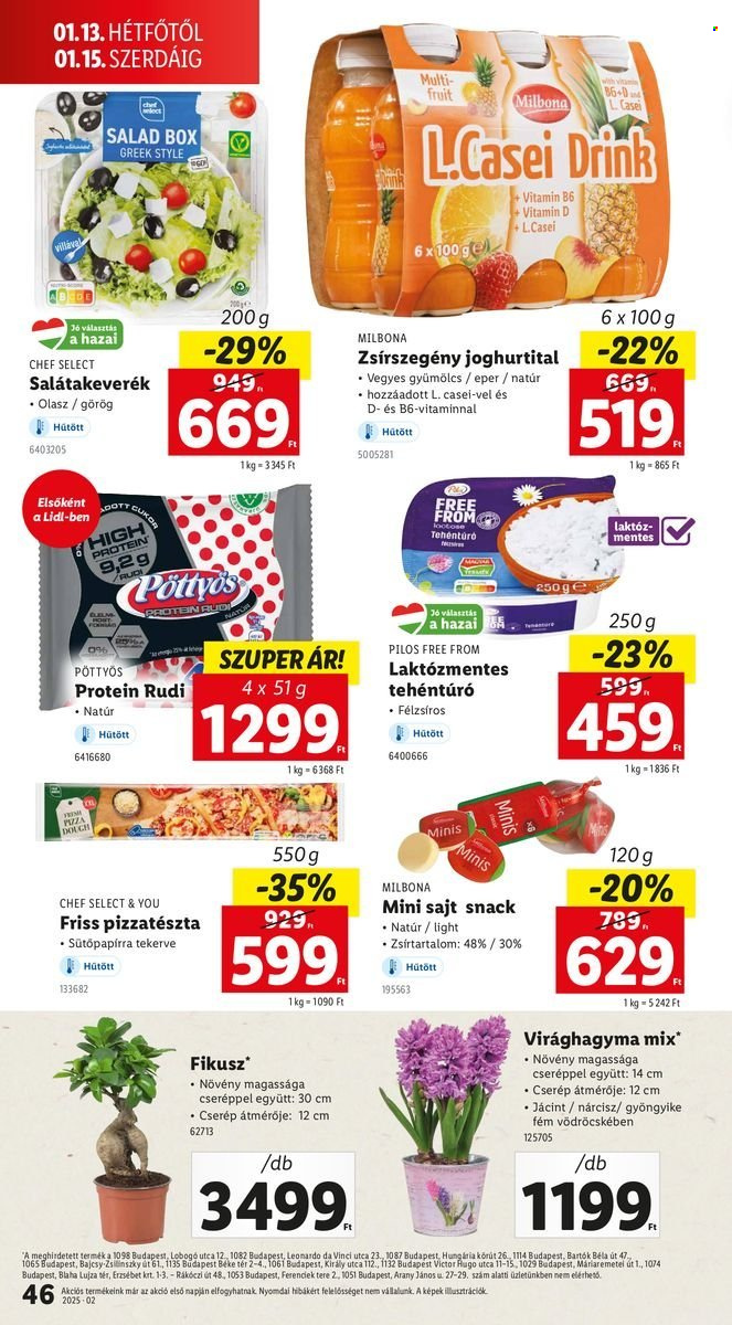 Lidl akciós újságok - 2025.01.09 - 2025.01.15. Oldal 46